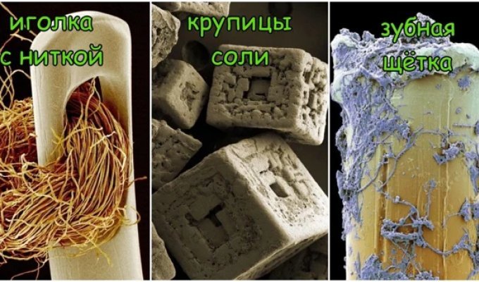 15 привычных предметов и объектов, снятых микроскопом (16 фото)