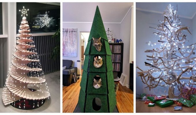 25 Christmas trees with a twist (26 photos)