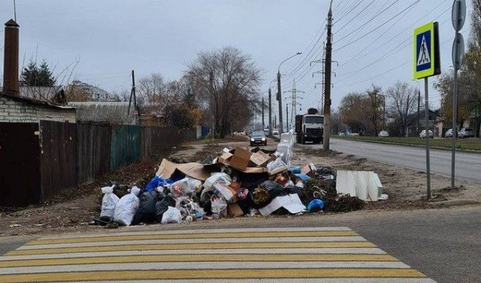 "Куча-могуча": стихийная мусорка в Воронеже привлекла внимание в Сети (15 фото)