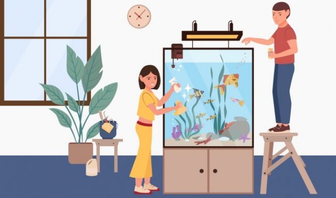 Как изменение качества воды, вида рыбы и размера аквариума влияет на цену его чистки