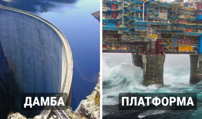 19 фотографий, которые наглядно покажут, что такое мегалофобия (20 фото)