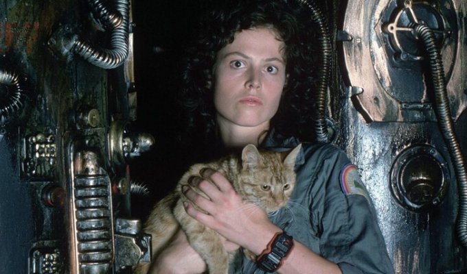 Interesting and little-known facts about the movie "Alien" (23 photos)