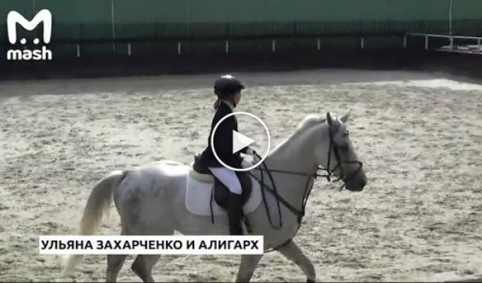 Как зовут коня жены Дмитрия Захарченко, у которого нашли 9 млрд рублей наличными