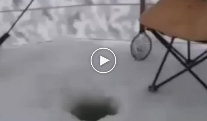 A funny incident during winter fishing