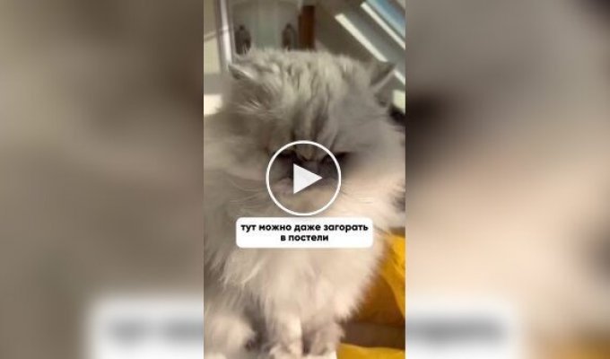 Современная квартира парижанина