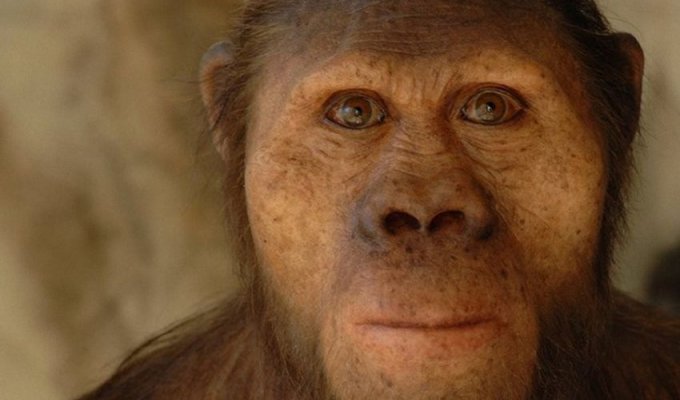 Люди, которые жили миллионы лет назад (10 фото)