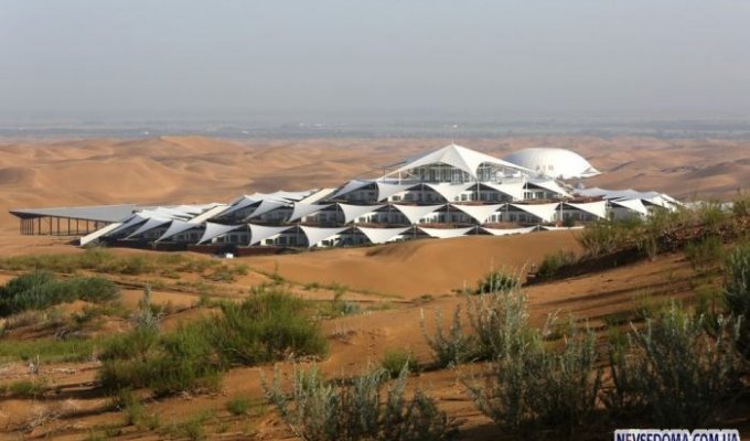 Удивительный отель-оазис посреди пустыни (28 фото)