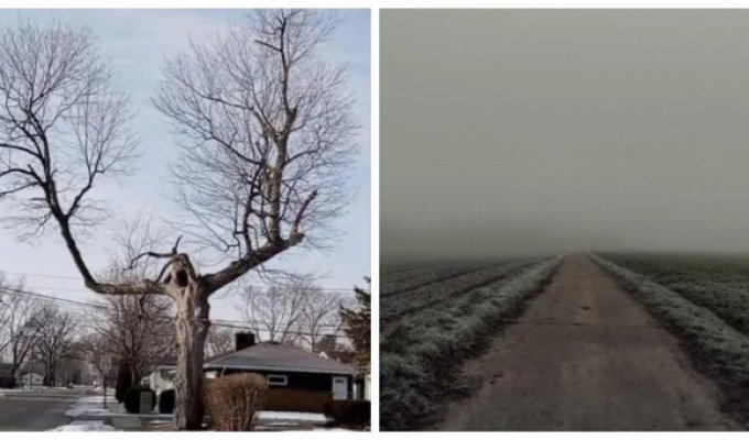 15 creepy images that make you feel a little uneasy (16 photos)