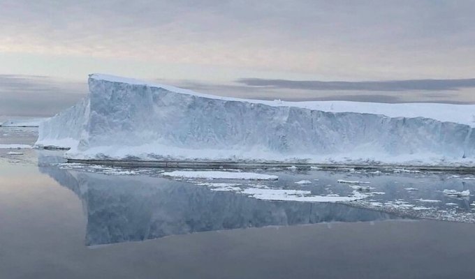The world's largest iceberg washed up in the clear waters of the Southern Ocean (7 photos + 2 videos)