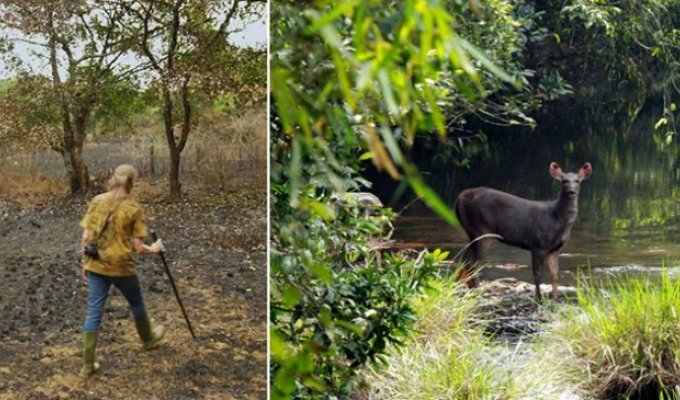 Couple Spends 30 Years Replanting Rainforest to Restore Nature Reserve (14 Photos)