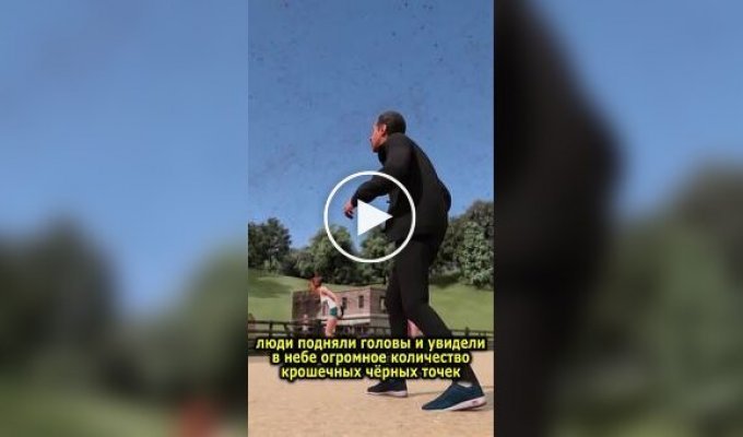 Как пауки путешествуют на дальние расстояния