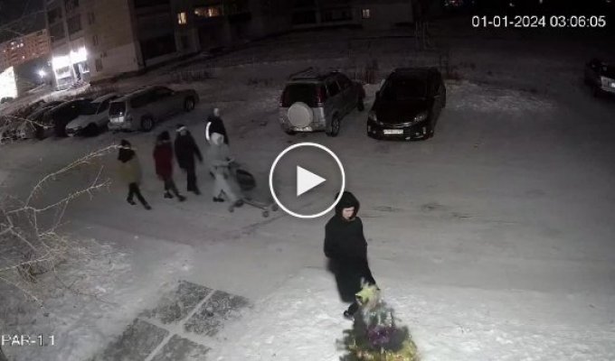 Непросте життя новорічної ялинки в Росії на святах