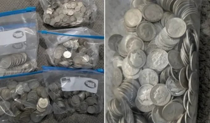 Выгодный ремонт: на женщину с потолка упало сокровище стоимостью $10 тысяч (6 фото)