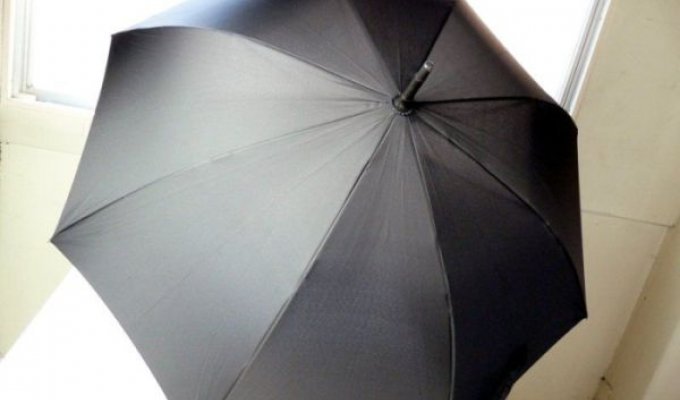 Отличный зонт (15 фотографий)