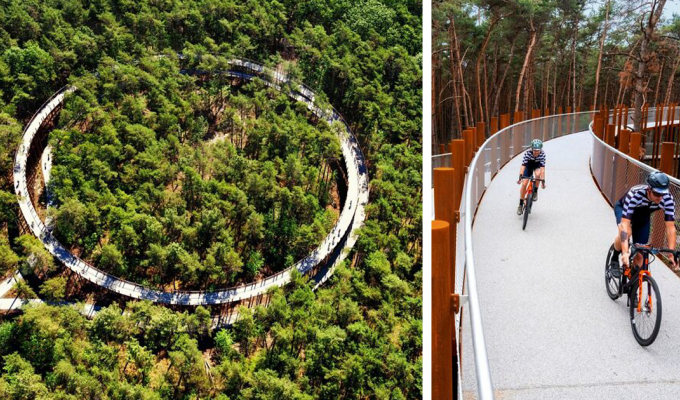 Велодорожка в Бельгии позволяет прокатиться по лесу на высоте 10 метров над землей (14 фото)