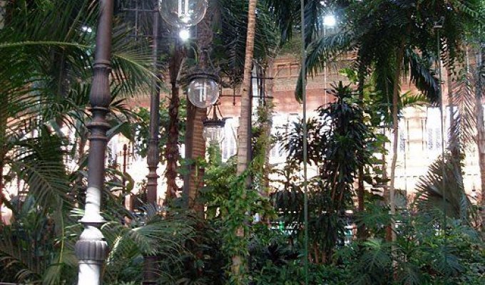 Вокзал как ботанический сад (13 фото)