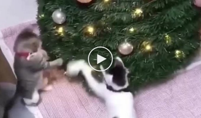 Christmas tree with cat protection mechanism