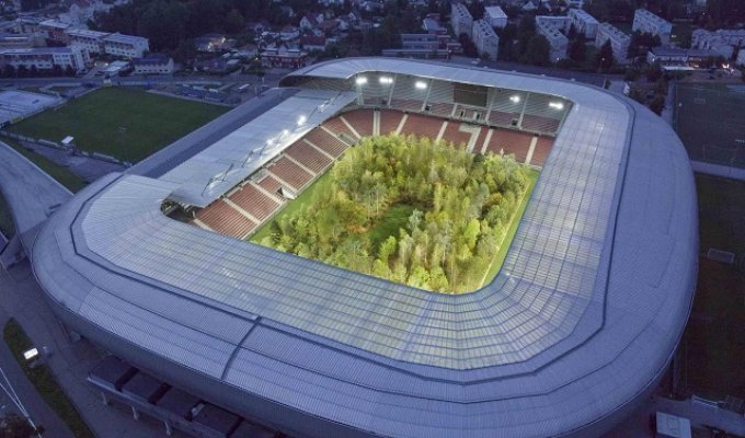Инсталляция: Лес внутри стадиона Вёртерзе-Штадион в Австрии (5 фото)