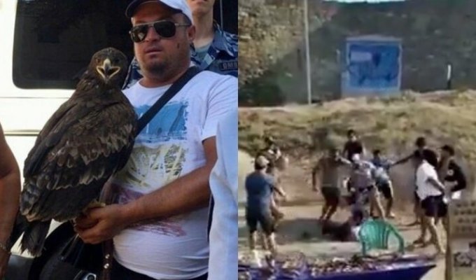 Крымские фотографы толпой избили туристов за отказ от фото (4 фото + 2 видео)