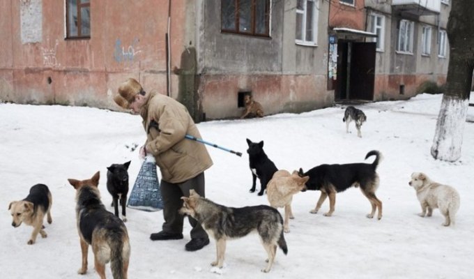 Водка, Донбасс и бродячие собаки. Чем известен британский журналист, раненый в Авдеевке