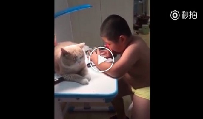 Ласковый кот мешает своему юному другу делать уроки