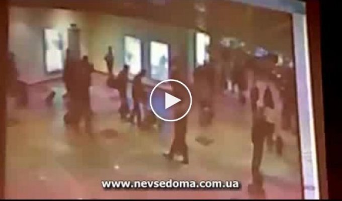Terrorist attack in Domodedovo (19 photos + video)
