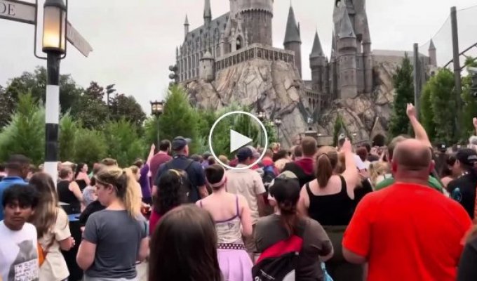 Фанаты «Гарри Поттера» подняли палочки перед Хогвартсом и попрощались с Дамблдором