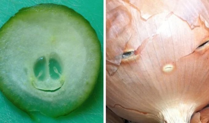 30+ times people looked at the world, and it looked back at them (34 photos)