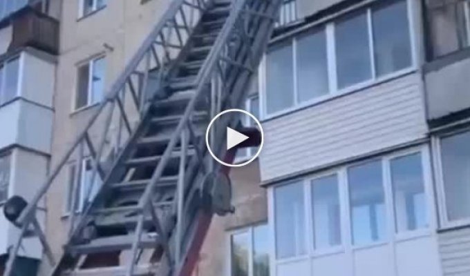 В Свердловской области пожарные спасли из огня очень важного жильца, но забрали у него одну жизнь