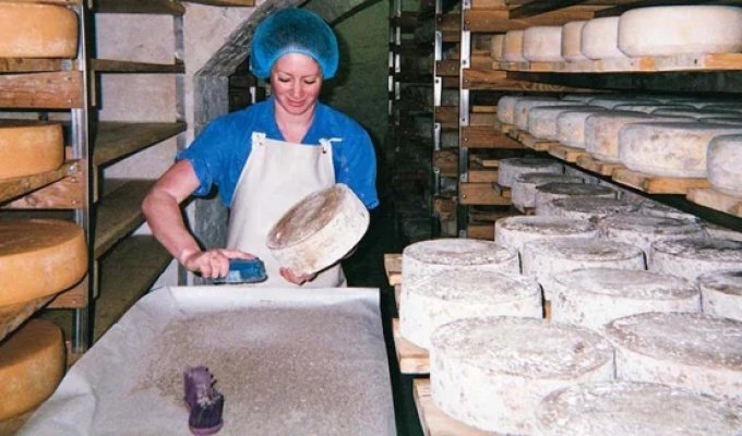 The Cheese Cave: A Day in the Life of a Brooklyn Cheesemaker (36 photos)
