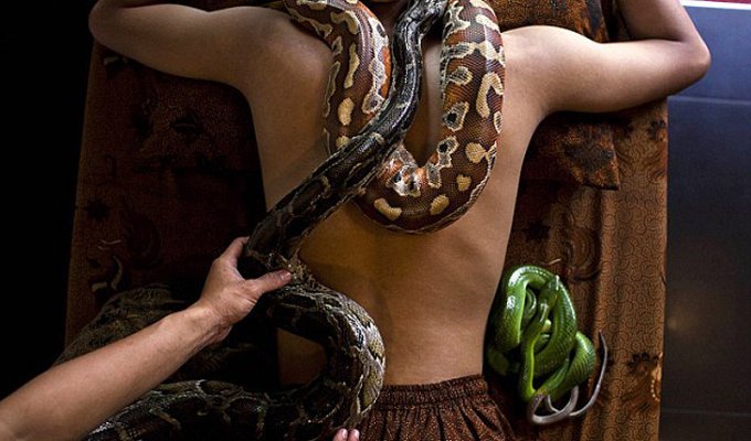 Змеиный массаж (9 фото)