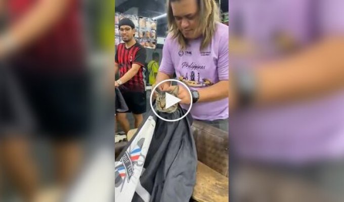 Парикмахерская на Филиппинах придумала уникальную концепцию