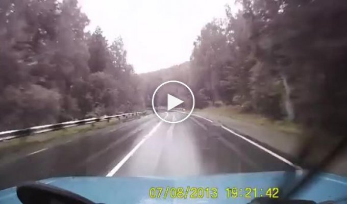 Авария на мокрой дороге