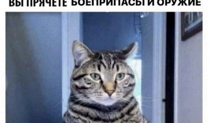 Лучшие шутки и мемы из Сети. Выпуск 164