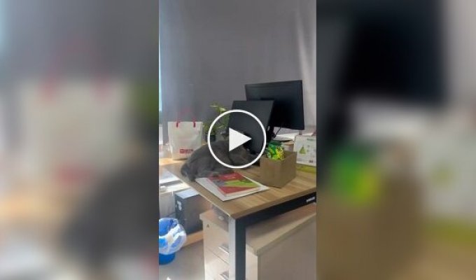 Перший день після свят