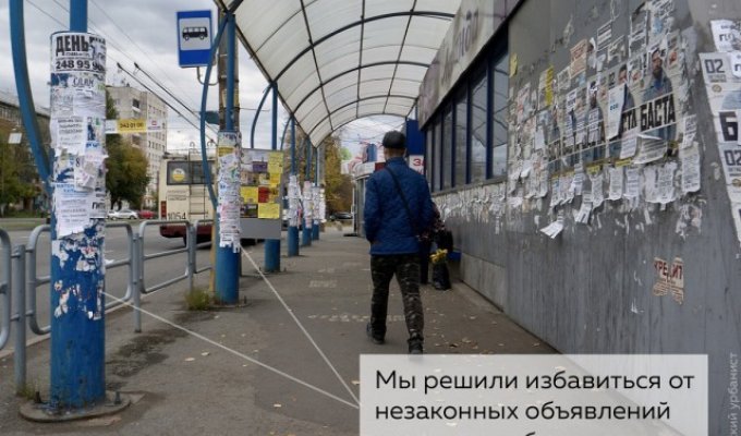 Челябинский активист нашел способ борьбы с объявлениями на столбах (4 фото)