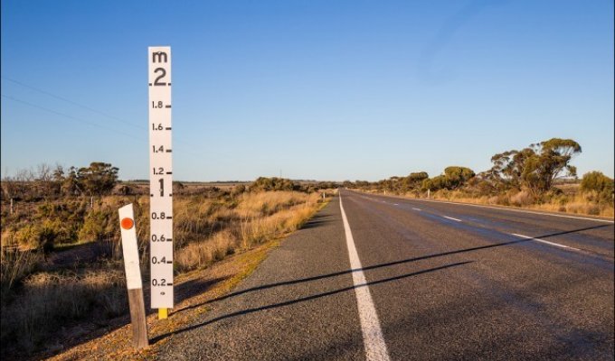 Зачем на австралийских дорогах ставят двухметровую линейку (1 фото)