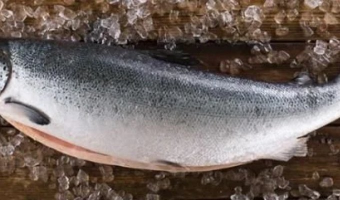 Специалисты рассказали про самый важный продукт для сохранения здоровья зимой