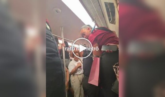 Women jumped on seats in panic because of a rat on the subway