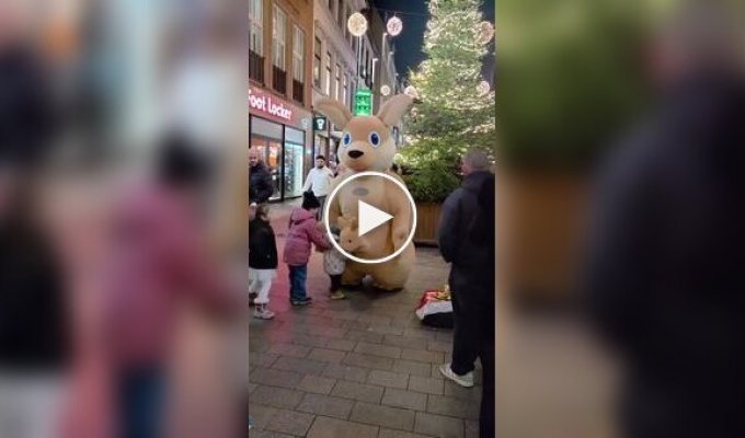 An ambiguous detail in a kangaroo costume