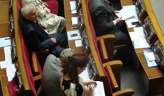Шекспировские страсти в Украинском парламенте (13 фото)