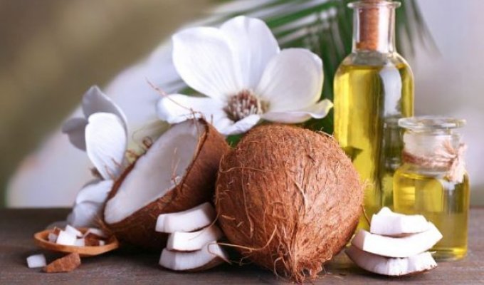 Почему кокосовое масло очень полезно для нас? (1 фото)