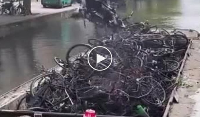 Ежегодно в Амстердаме выбрасывается в каналы более 20 000 велосипедов