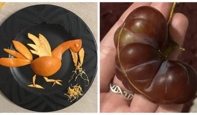 25 изображений  с простыми чудесами нашего мира, которые заставят поверить  в случайность или замысел (26 фото)