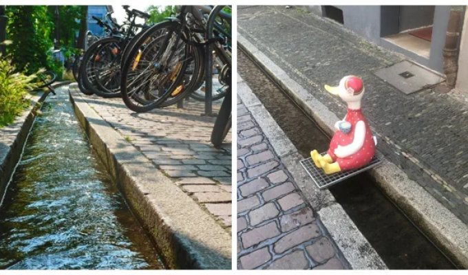 Бехле: от средневековой канализации до сердца Фрайбурга, где судьбу решает ручей (17 фото + 1 видео)