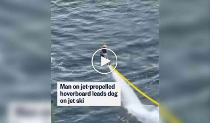 In Florida, a dog on a jet ski accompanies its owner on a hoverboard