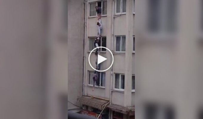 Кот отменил собственное спасение, ловко сбежав от пятерых мужчин
