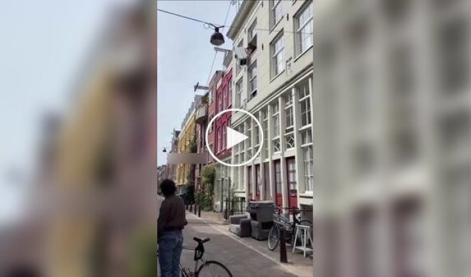 В Амстердаме грузчики превращают обычную доставку в зрелище