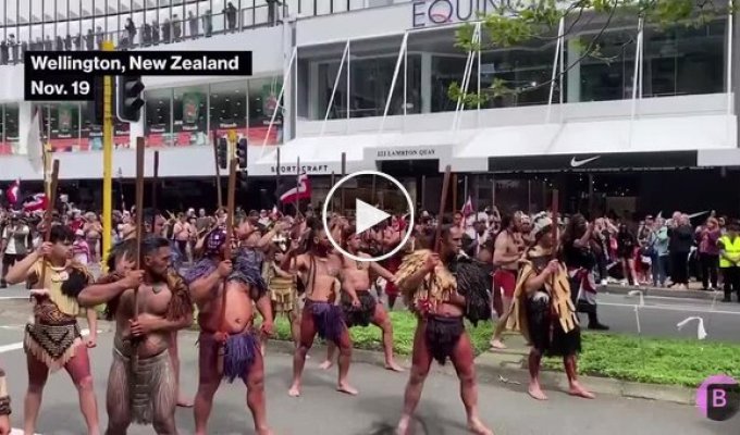 Maori took to the largest protest in the history of New Zealand