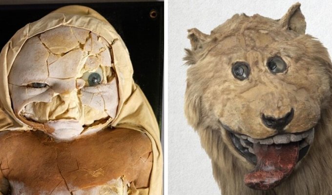 Museums around the world showed their creepiest exhibits (16 photos)